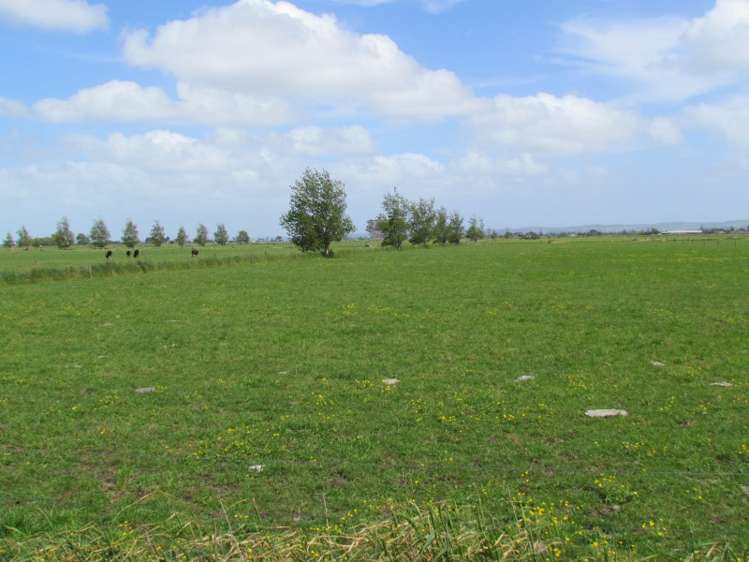 354 Access Road Ruawai_5