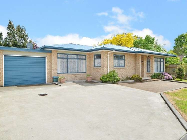 44a Main Street Greytown_0