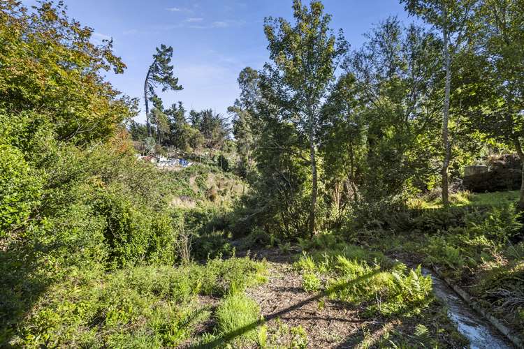 55 Koremata Street Green Island_19