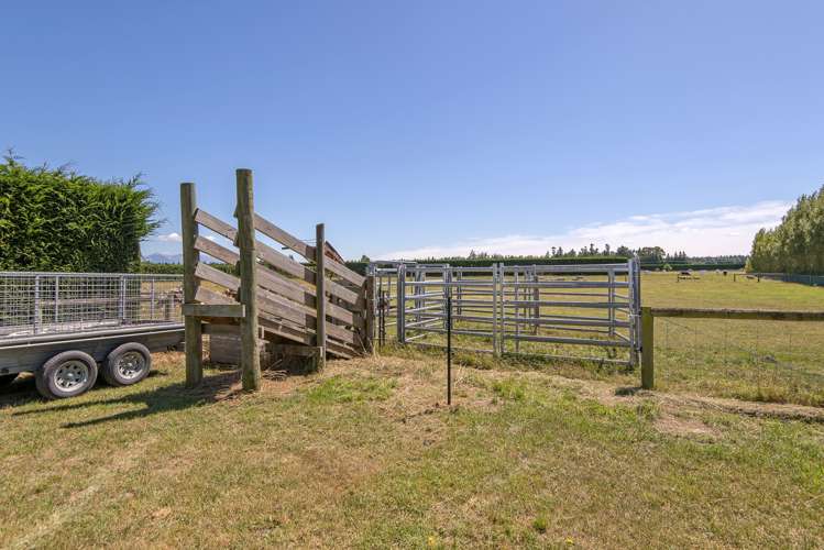 9 Mulholland Drive Darfield_21