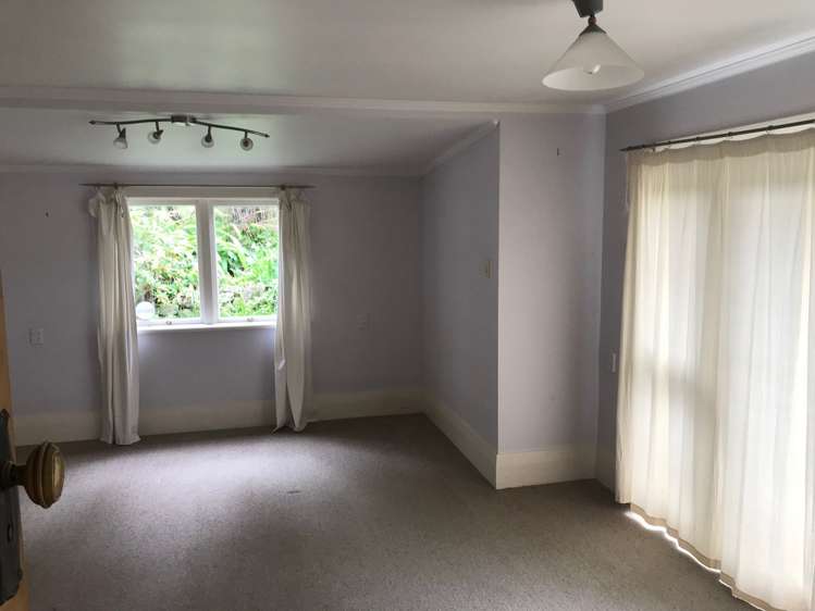 41 Kauika Road West Avenues_11