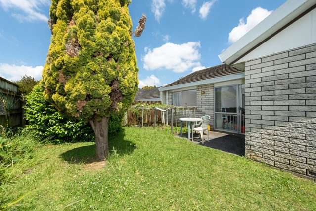 780b Cameron Road Tauranga South_3