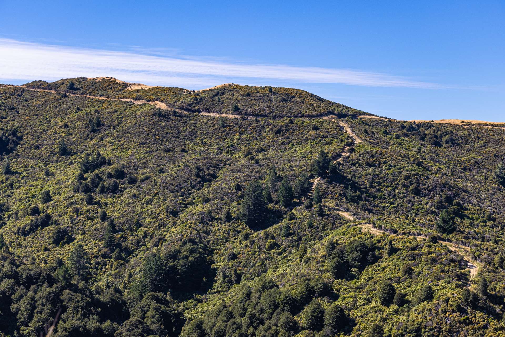 Ngahape Road Masterton_0