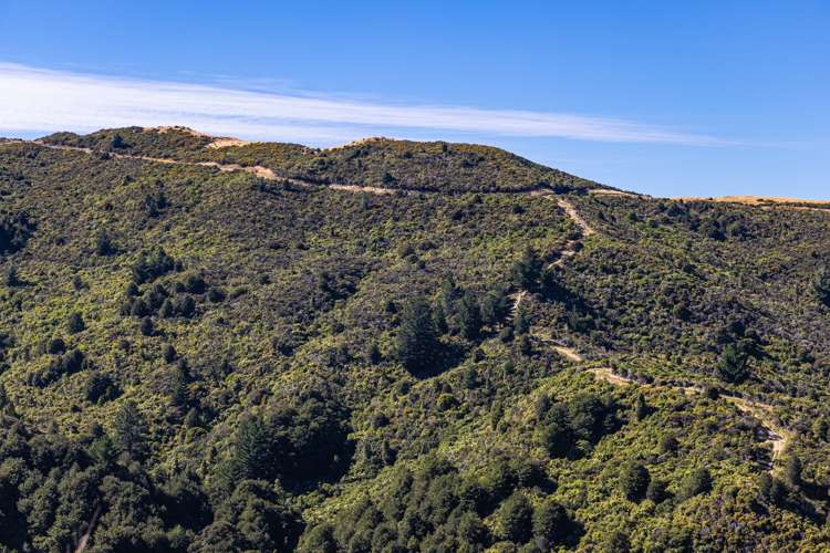 Ngahape Road Masterton_0