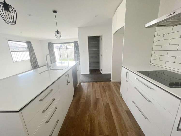 55 Bonecrusher Street Lincoln_3