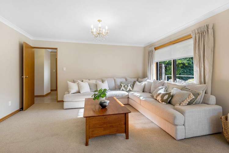 102 Tricketts Road West Melton_8