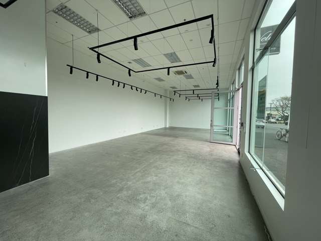 16 Normanby Road Mount Eden_3