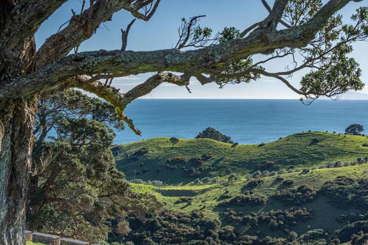 13 Lots Wawata Estate, Waiheke Island_12