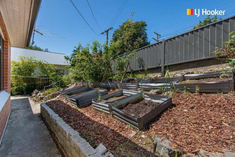 8 Hawthorn Avenue Mornington_14
