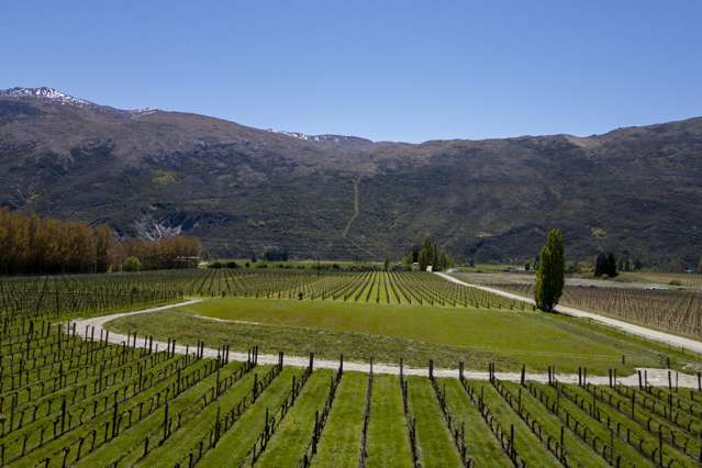 Lot 1/172 Gibbston Back Road Gibbston_1