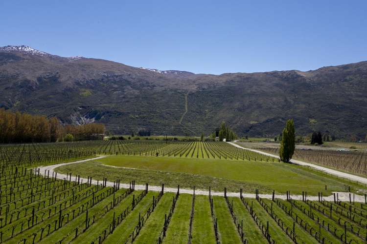 Lot 1/172 Gibbston Back Road Gibbston_1