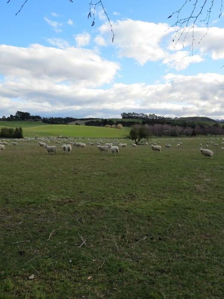 649 Kauru Hill Road Five Forks and Surrounds_68