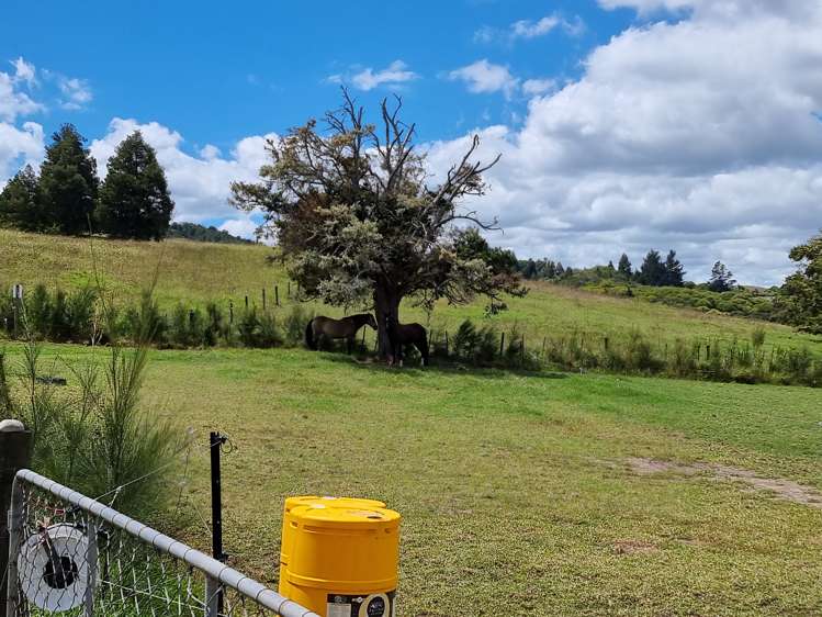 2860 State Highway 1 Brynderwyn_6