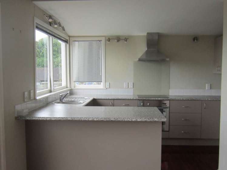 81 Carlton Street Hillsborough_6