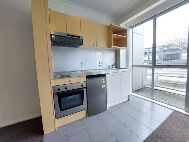 149 Nelson Street 10015_3