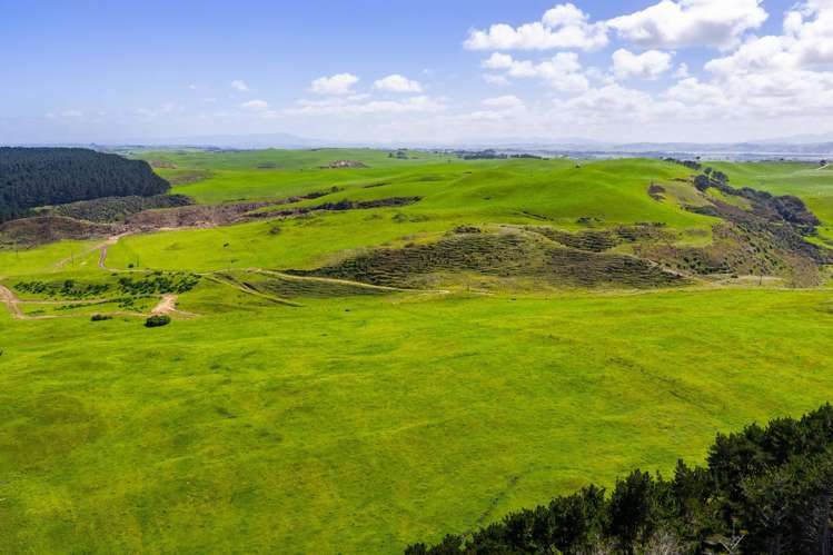 780 Te Maire Road Te Kopuru_21