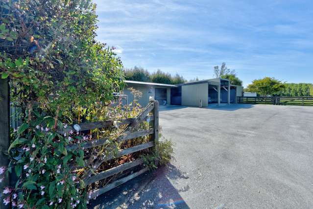 56 Racecourse Road Gore Surrounds_3