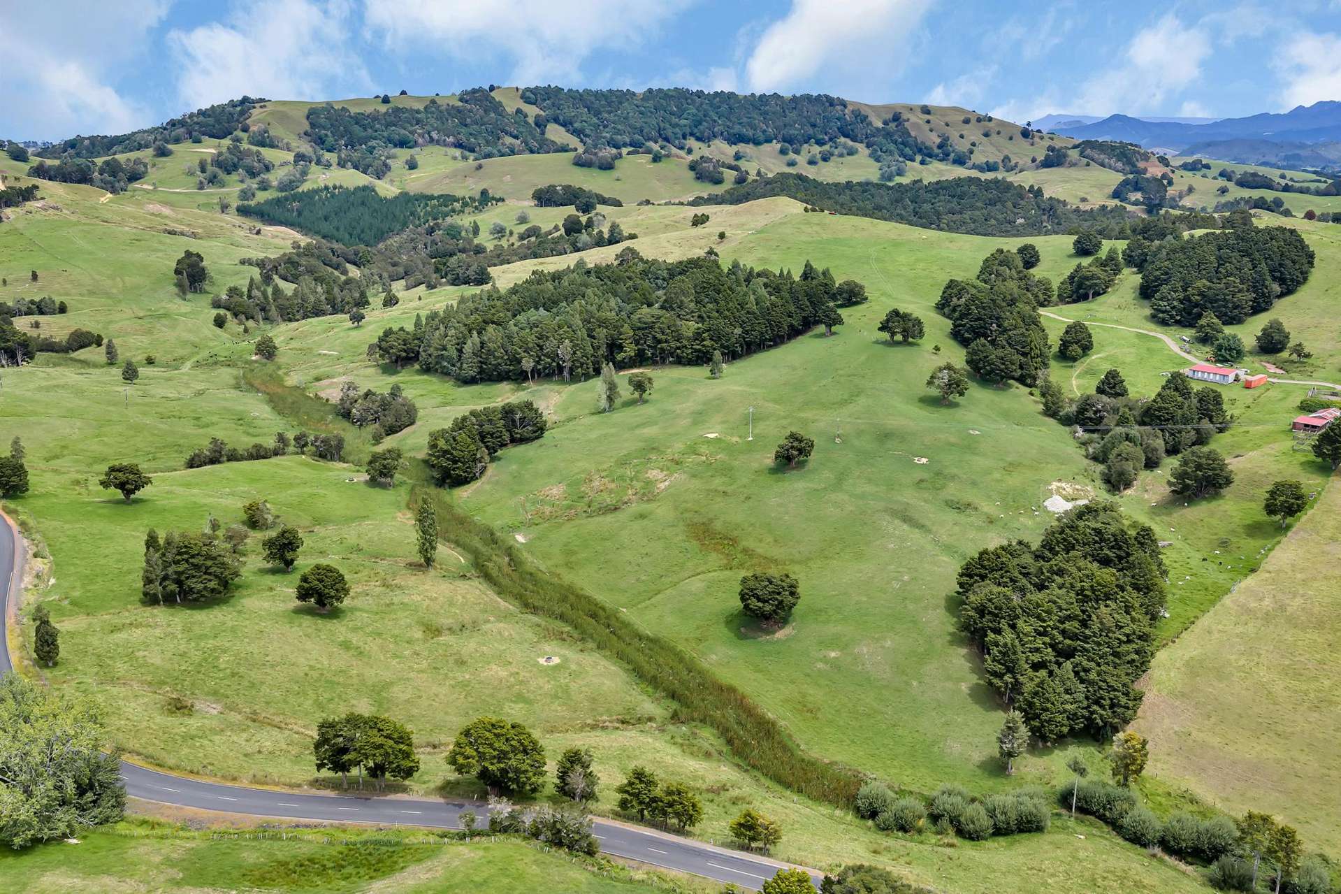 Pipiwai Road Purua_0