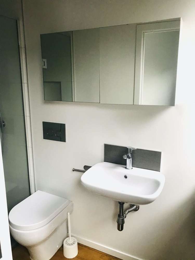 55a Powell Street Avondale_10