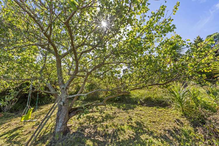 32 Government Road Raglan_12