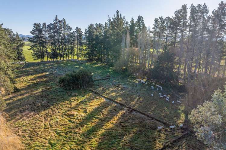 251 Homeview Road Cheviot_31