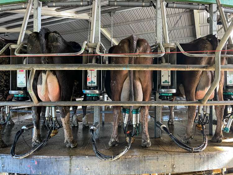 1128 Wyndham Road Wyndham_17