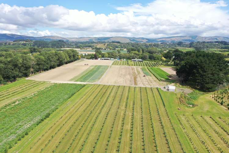 72 Pinfold Road Aokautere_15