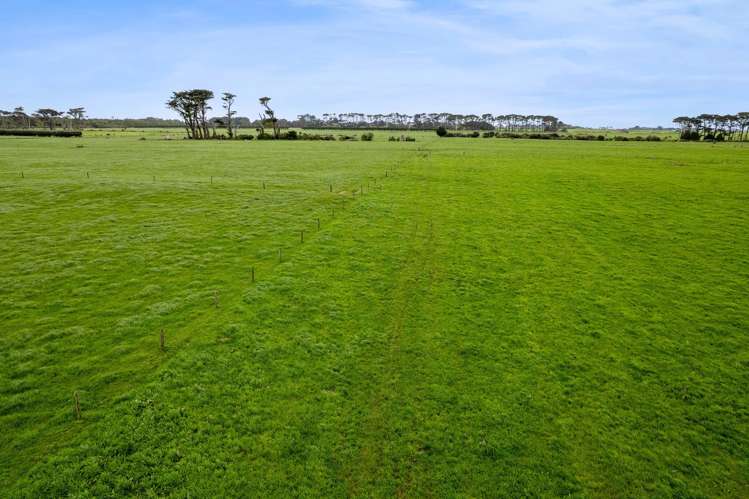 192 Upper Kina Road Oaonui_11