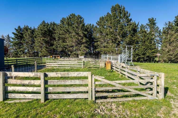 343 Marshalls Road Saint Andrews_20