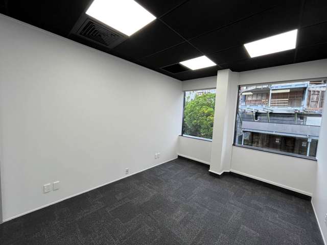 9A Hargreaves Street Freemans Bay_2