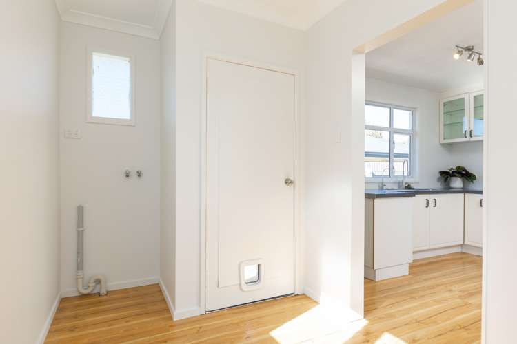 31a Beaver Road Blenheim Central_14