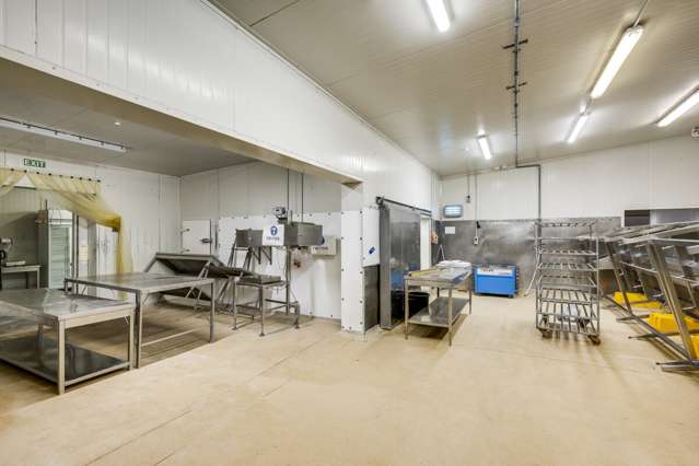 54 Pandora Road Ahuriri_3