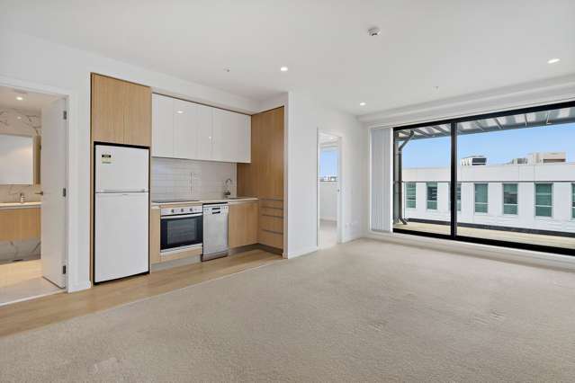 402/43 Edwin Street Mount Eden_1