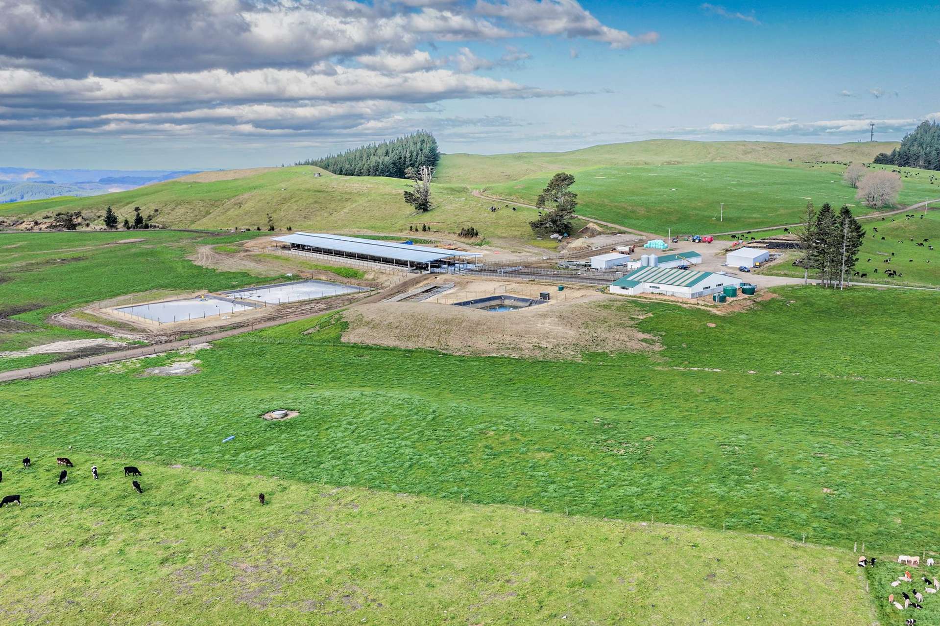 3986 Puketitiri Road Patoka_0