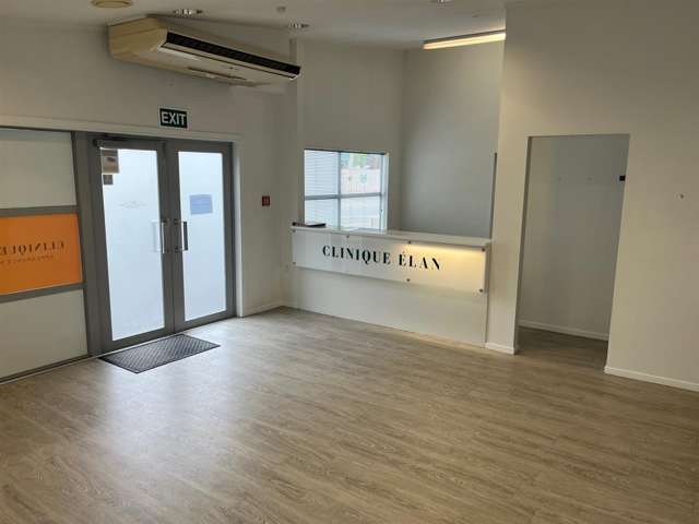 47 Pembroke Street Hamilton Lake_1