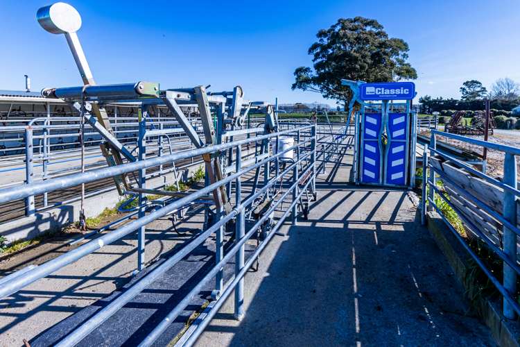 558 Mcleays Road Morven_10