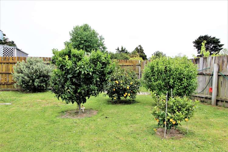 69 Burgoyne Street Woodville_21