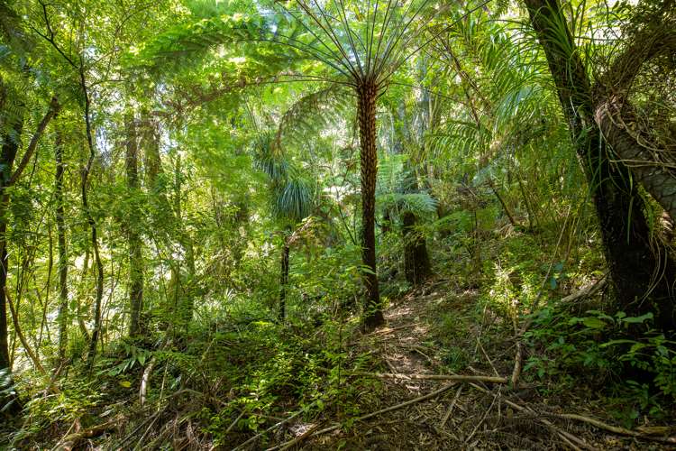 1710 Queen Charlotte Drive Anakiwa and Surrounds_17