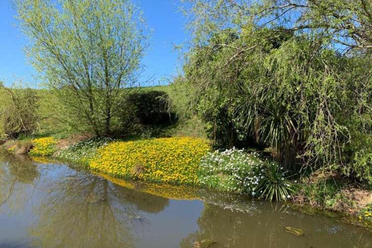 1124 Awhitu Road Waiuku_17