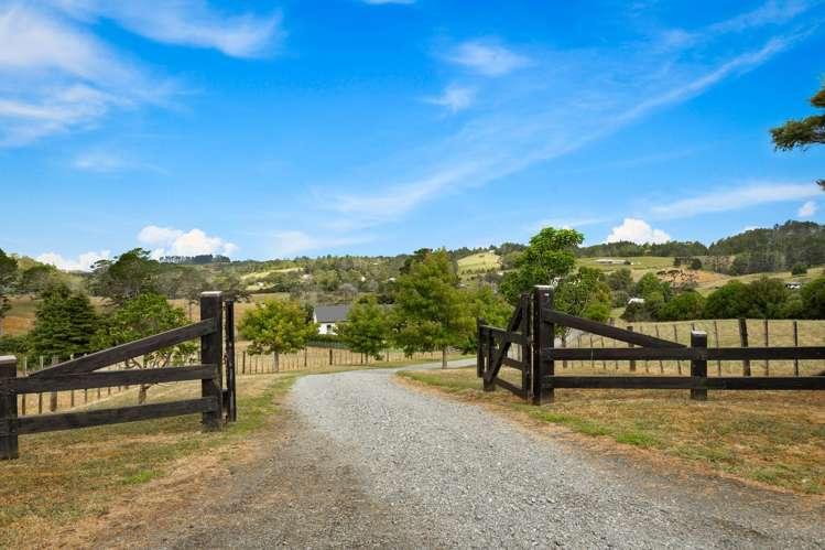 255 Austin Road Dairy Flat_30