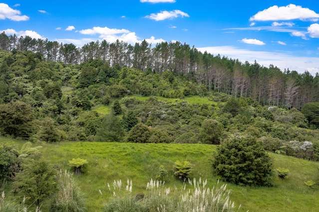 170 Ashton Road Whangateau_3