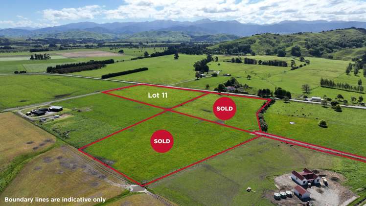 631 Opaki-Kaiparoro Road, R D 2 Masterton_5