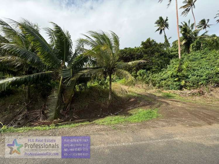 Address withheld Savusavu_6