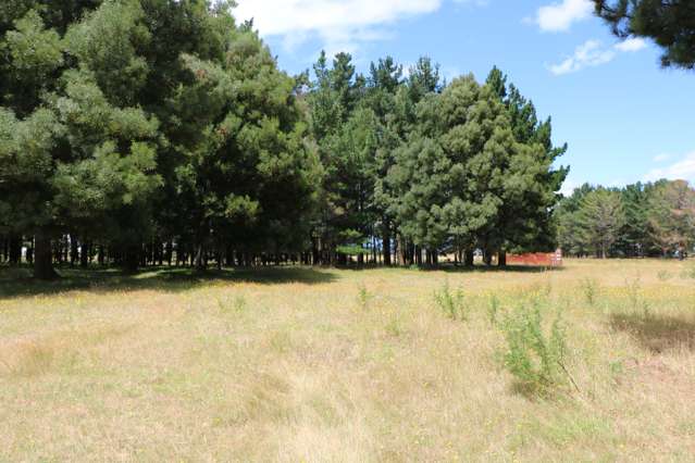 266 Wall Road Foxton_3