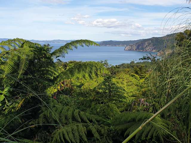 492 Tuateawa Road Tuateawa_2