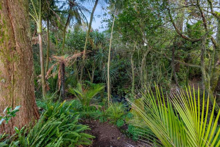 2A Miro Street Inglewood_21