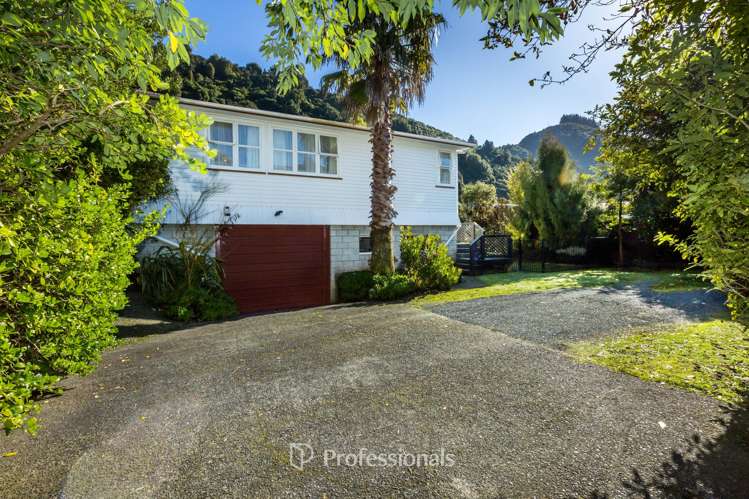 36 Black Beech Street Birchville_1