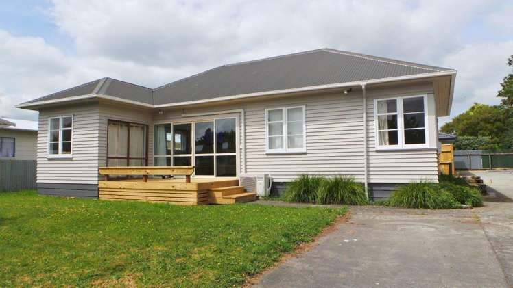 12 Guy Avenue Levin_5