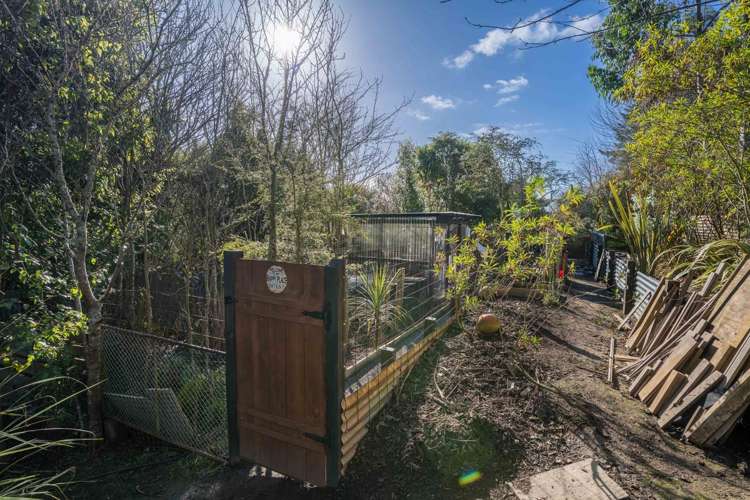 B/1 Goodwin Street Waihola_14