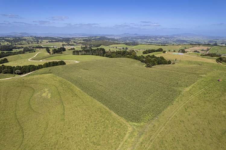 731 Puhipuhi Road Whakapara_36